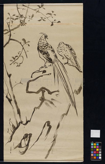 花鳥-2藏品圖，第3張