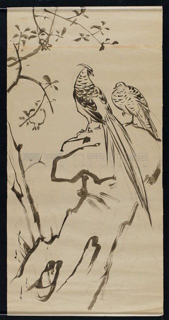 花鳥-2藏品圖，第1張