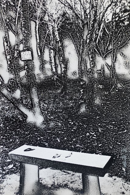 林中落葉藏品圖，第1張