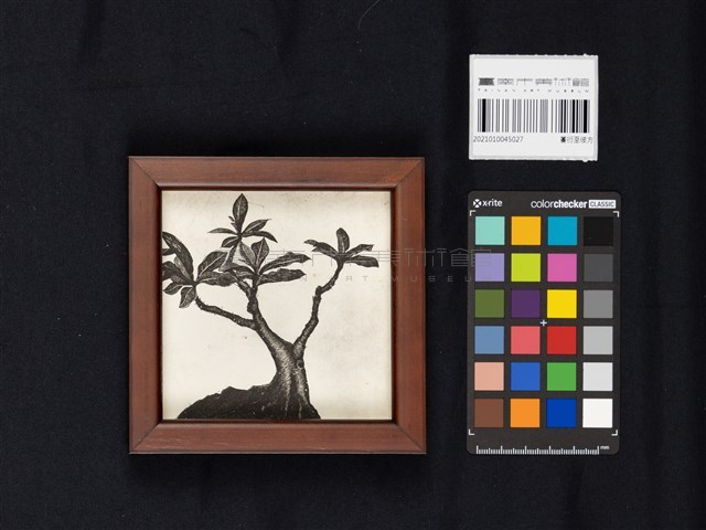 蔓衍至彼方藏品圖，第3張