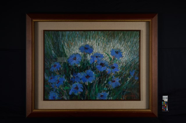 生命之花藏品圖，第2張