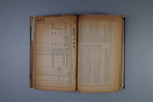 私の宣言藏品圖，第2張