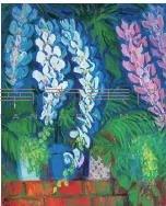 蝴蝶蘭藏品圖，第1張