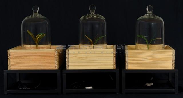 綠體記憶術藏品圖，第1張