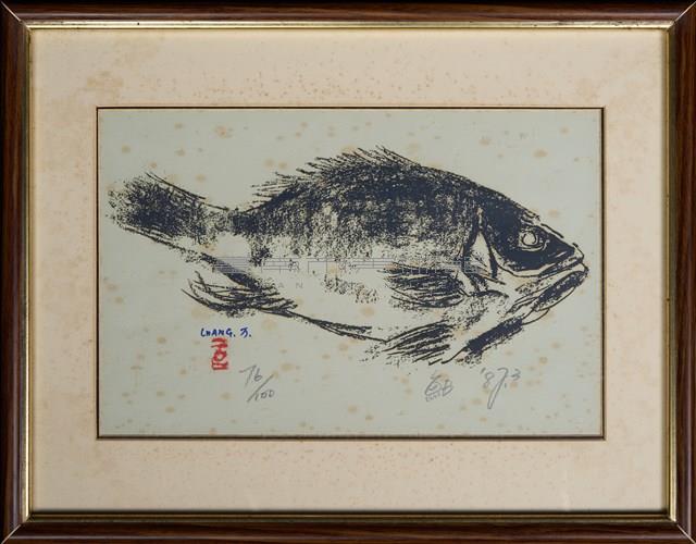 魚B藏品圖，第3張