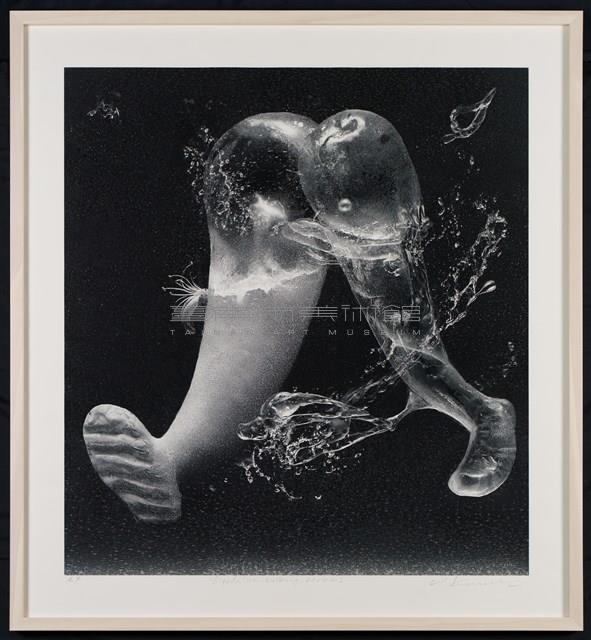 雙足步行_2024ml藏品圖，第3張