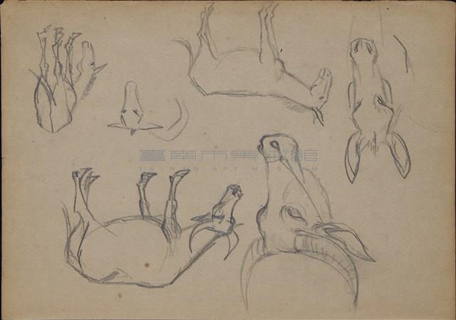 水牛群速寫藏品圖，第4張