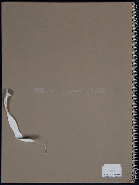 人物、風景速寫藏品圖，第4張