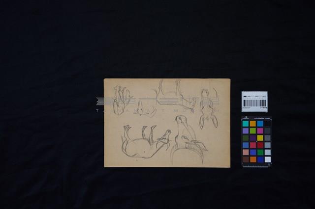 水牛群速寫藏品圖，第3張