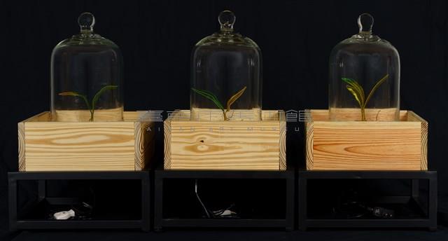 綠體記憶術藏品圖，第4張