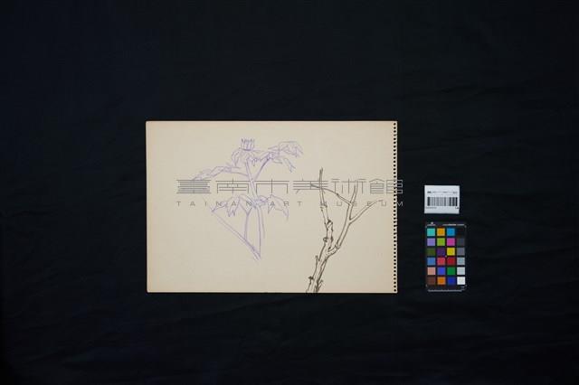 孔雀藏品圖，第3張