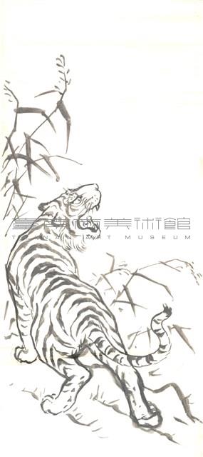 虎-5藏品圖，第1張