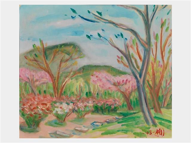 陽明山櫻花藏品圖，第1張