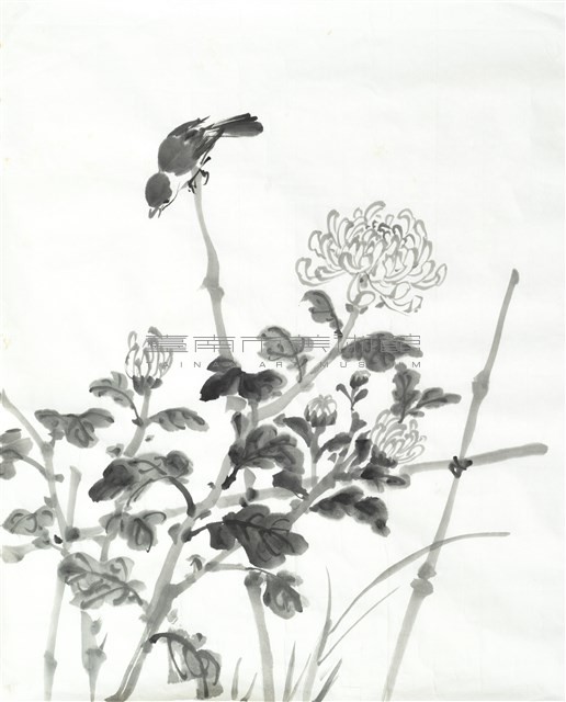 菊花麻雀藏品圖，第1張
