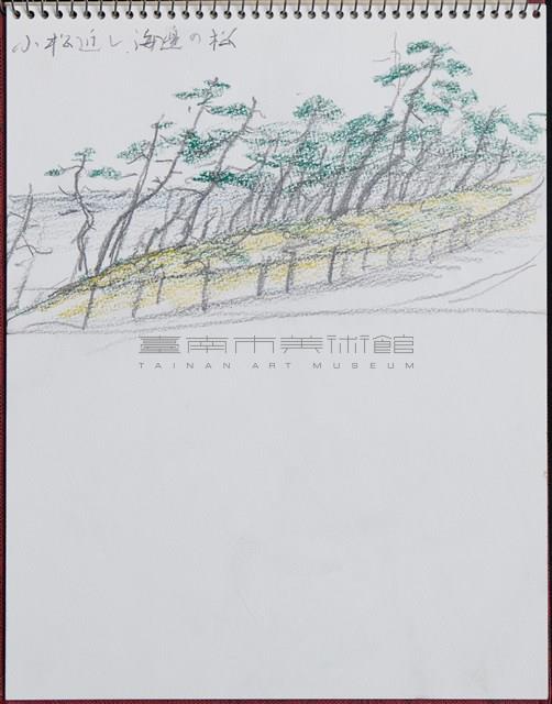 小松の近く海邊の松藏品圖，第1張