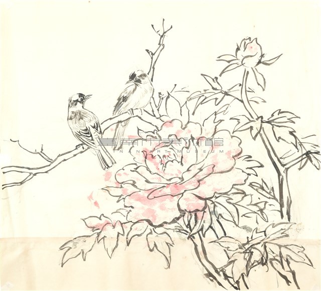 牡丹白頭藏品圖，第1張