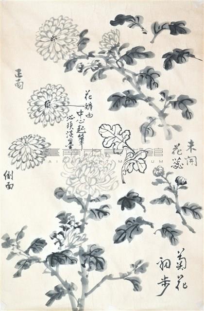 菊花寫生藏品圖，第1張