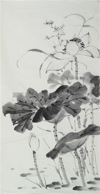 荷花藏品圖，第1張