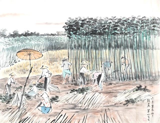 採麻忙藏品圖，第1張