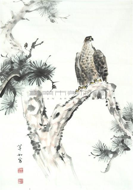 松鷹-5藏品圖，第1張