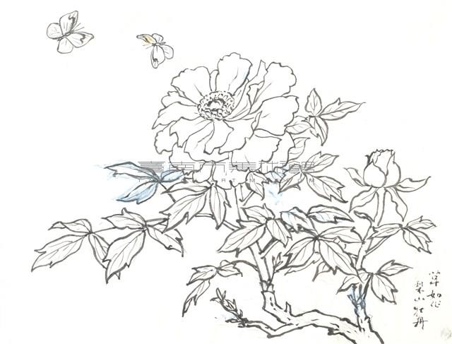 牡丹花開藏品圖，第1張