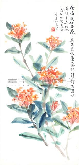 仙丹花藏品圖，第1張