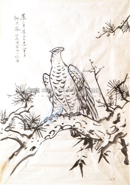 松鷹-1藏品圖，第1張