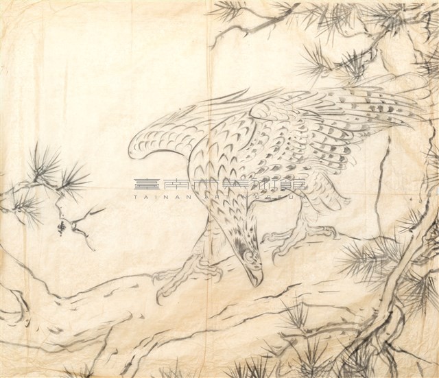 松鷹-4藏品圖，第1張