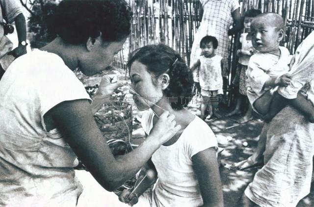 挽面藏品圖，第1張