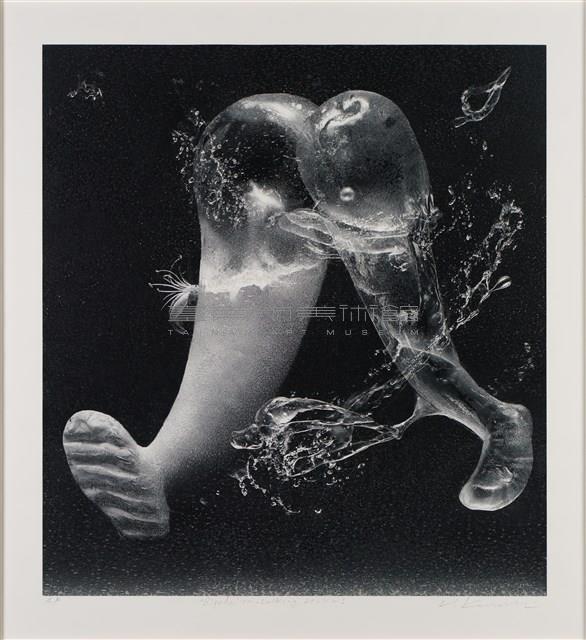 雙足步行_2024ml藏品圖，第1張