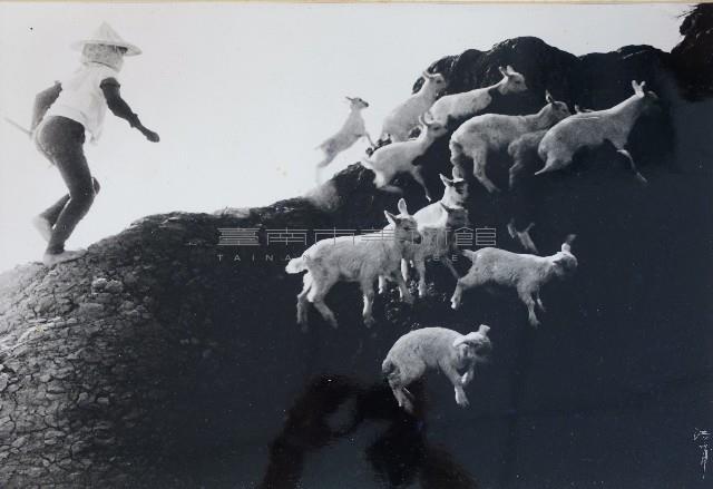 追藏品圖，第1張