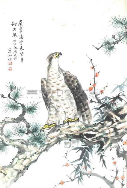 鷹藏品圖，第1張