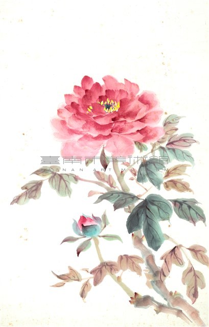 牡丹花-1藏品圖，第1張