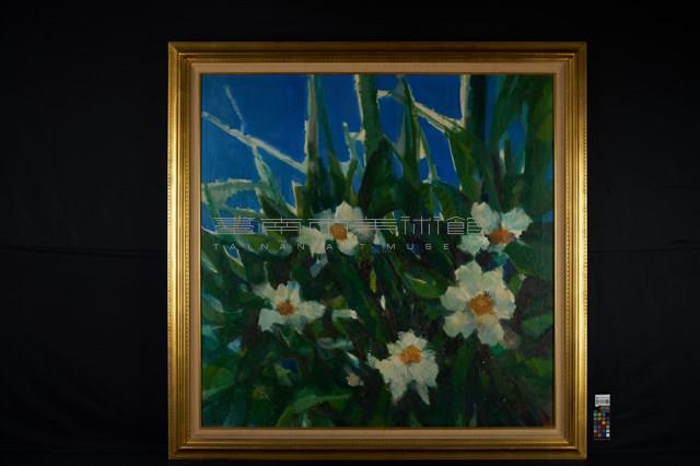 生命之花藏品圖，第2張