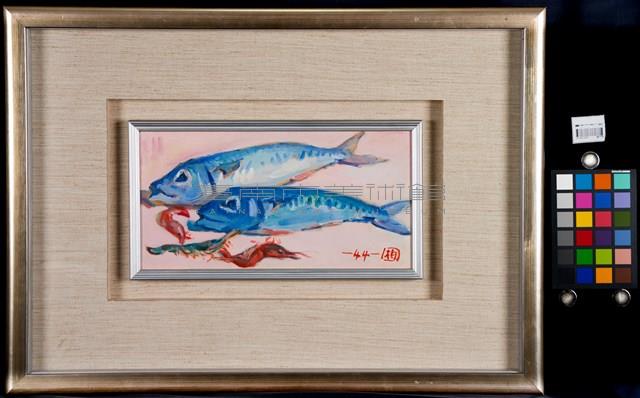 鐵甲魚藏品圖，第2張