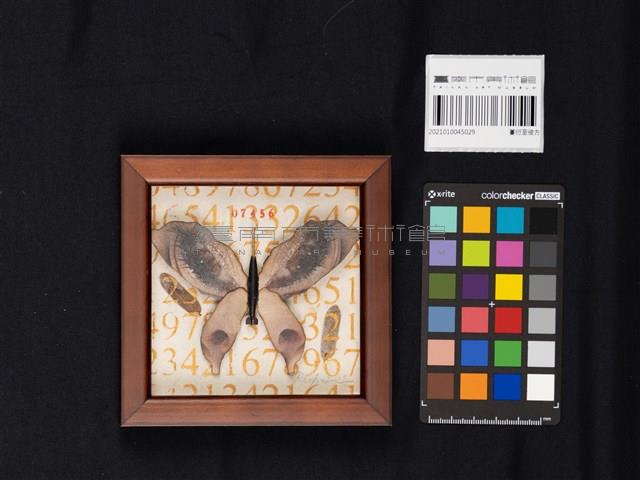 蔓衍至彼方藏品圖，第3張