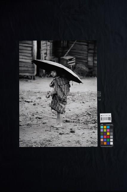 雨中取樂藏品圖，第2張