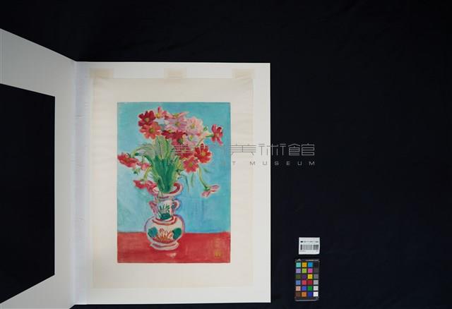 波斯菊藏品圖，第2張