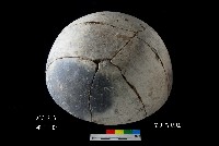 芝山岩文化平圓底缽藏品圖，第3張