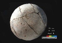 芝山岩文化平圓底缽藏品圖，第5張