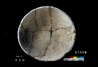 芝山岩文化平圓底缽藏品圖，第6張