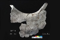 芝山岩文化罐口藏品圖，第2張