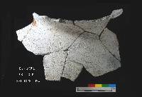 芝山岩文化罐口藏品圖，第6張