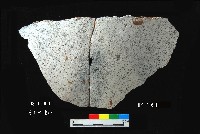 芝山岩文化罐口藏品圖，第7張