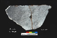 芝山岩文化罐口藏品圖，第8張