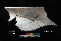 芝山岩文化罐口藏品圖，第9張