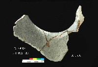 芝山岩文化罐口藏品圖，第10張