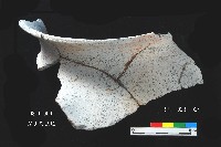芝山岩文化罐口藏品圖，第11張
