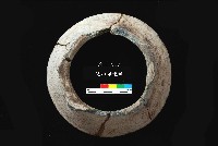 芝山岩文化罐口藏品圖，第4張