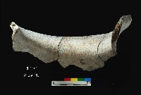 芝山岩文化罐口藏品圖，第2張